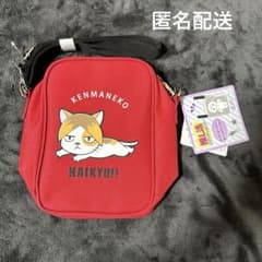 하이큐 켄마네코 클리어 숄더
