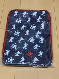 Disney Mickey shoe case (not for sale)