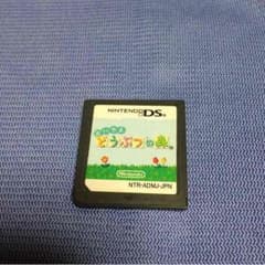 DSソフトのサムネイル