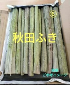 ⑥秋田ふき　フキ　蕗　無農薬　青森県産のサムネイル