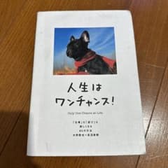 人生はワンチャンス! 「仕事」も「遊び」も楽しくなる65の方法のサムネイル