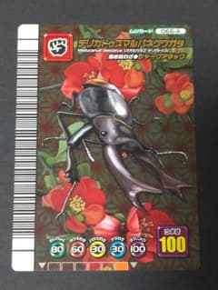 ムシキング デリカトゥスマルバネクワガタ アダーコレクション 5周年