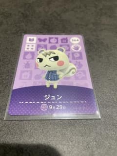 ジュン amiiboカード どうぶつの森 264 おまけ付き - メルカリ