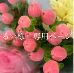 るい様　専用ページのサムネイル