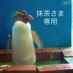 抹茶さま専用のサムネイル