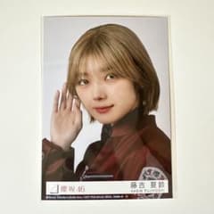 m97223710426_1.jpg?1730527166