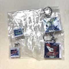 ポケモン　パッケージ＆ゲームカードキーホルダーコレクション　X Yのサムネイル