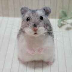 羊毛フェルト [52] ハムスターのサムネイル