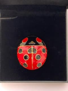 に*け様 【荒木飛呂彦原画展】 JOJOの奇妙な冒険 ジョルノ てんとう虫のブロのサムネイル