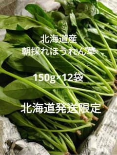 【道内発送限定】ほうれん草 1.8kgのサムネイル