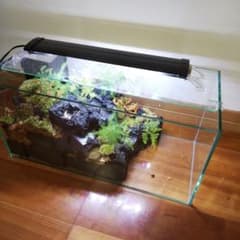 受注生産】滝の流れるアクアテラリウム イモリウム 苔 水槽 苔