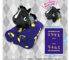 イクイノックスブランケットのサムネイル