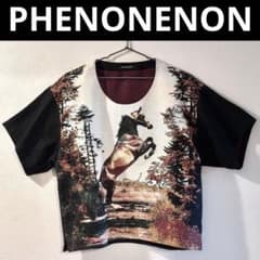 PHENONENON ホース Tシャツ プルオーバー ジャケット - メルカリ