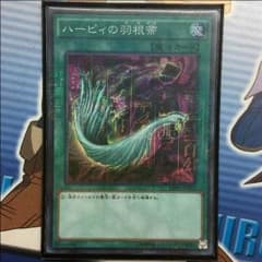ハーピィーの羽根帚のサムネイル