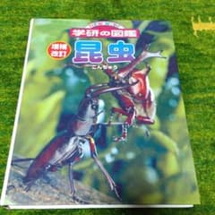 昆虫 学研の図鑑のサムネイル