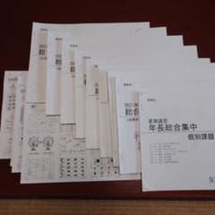 理英会全年間授業内容表＆プリントVロング+年長総合集中 夏期講習+個別課題お受験 理英会 2021年度 夏期講習 年長総合集中 年長ⅴ第一回〜第四回 教材