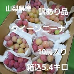 1️⃣1️⃣山梨県産 クイーンニーナ 10房入り 箱込5.4キロ - メルカリ