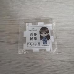 櫻坂46 5th アニラ　向井純葉 パズルアクリルキーホルダーのサムネイル