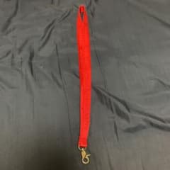 SUPREME Nylon Lanyard Red 赤のサムネイル