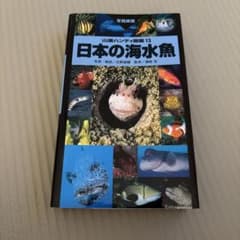 日本の海水魚 - 4