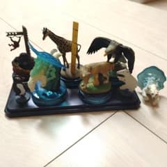 旭山動物園 カプセルズー フィギュアセットのサムネイル