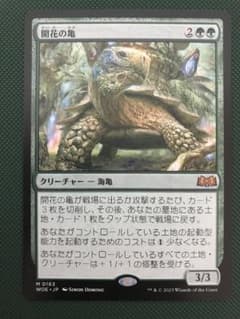 開花の亀　MTG  日本語版　エルドレインの森のサムネイル