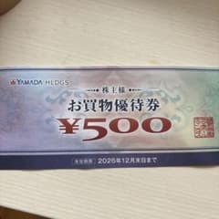 ヤマダホールディングス 株主優待券 500円分のサムネイル