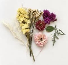 ドライフラワー 花材セット ハンドメイド素材のサムネイル