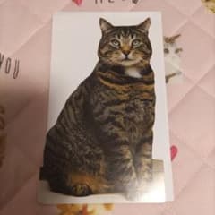 お値下げ レトロ アメリカ製 おすまし顔の猫さんがかわいい カード(未使用)のサムネイル