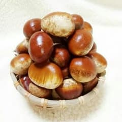 マコ様  専用☆のサムネイル
