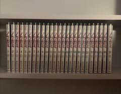 ノラガミ25冊(12巻19巻欠品)のサムネイル