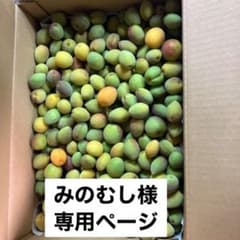青梅色付いた梅7kgのサムネイル