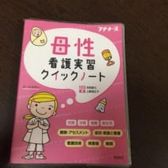 母性看護実習クイックノートのサムネイル