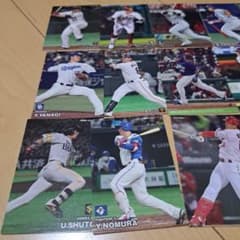 プロ野球チップスカードのサムネイル