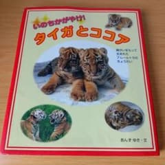 いのちかがやけ!タイガとココア : 障がいをもって生まれたアムールトラのきょう… k-242 いのちかがやけ!タイガとココア : 障がいをもって生まれた