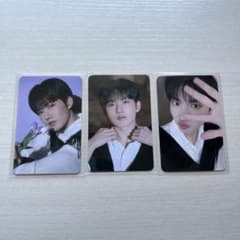 treasure ジュンギュ　ナイトガーデン　トレカセット