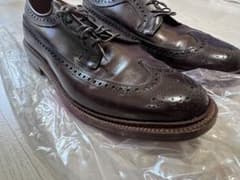 ALDEN オールデン 975 コードバン ロングウイングチップ 7.5Dのサムネイル