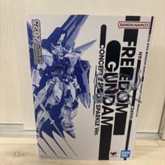 METAL BUILD 프리덤 건담 CONCEPT 2 SNOW