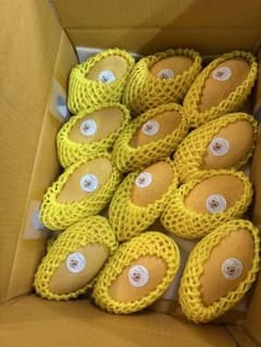 タイ産マンゴー 14-18個入り約4.5キロ - メルカリ