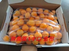 無農薬   金柑   1kgのサムネイル