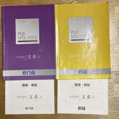 ena小5 PERSPECTIVE文系 上下セット 解答・解説付き 中学受験教材