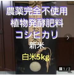 農薬完全不使用/植物発酵肥料 コシヒカリ 白米5kg（令和8年産）のサムネイル