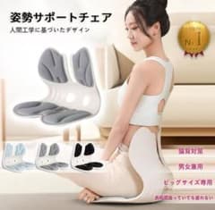 姿勢サポートチェア ビッグサイズ専用のサムネイル