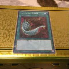 即購入可!! ハーピィの羽根箒のサムネイル