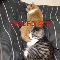 SOSOFOr 専用のサムネイル