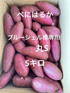 ブルーシェル様専用　丸S 5キロのサムネイル