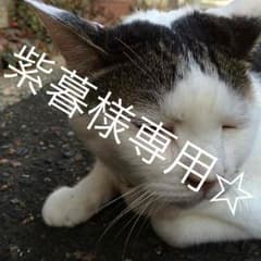 紫暮様専用のサムネイル