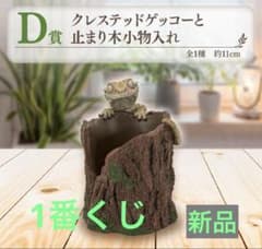 이치 반 쿠지 파충류 & 양서류 D상 크레스티드 겟코와 멈춤 나무 소품 넣어 신품