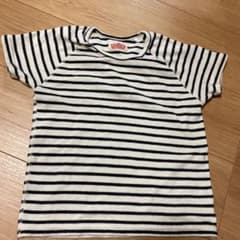 ハリウッドランチマーケット　ボーダー Tシャツのサムネイル