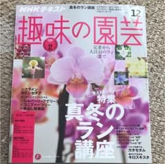 2017 12月号 NHKテキスト趣味の園芸のサムネイル